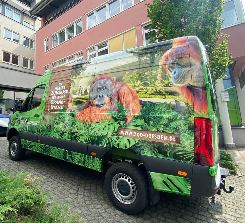 Ein Lieferwagen, der mit einer aufwendigen Fahrzeugbeschriftung im Naturstil versehen ist, perfekt für auffällige Werbung durch Werbetechnik.